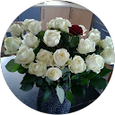 Woutie Schuit profielfoto